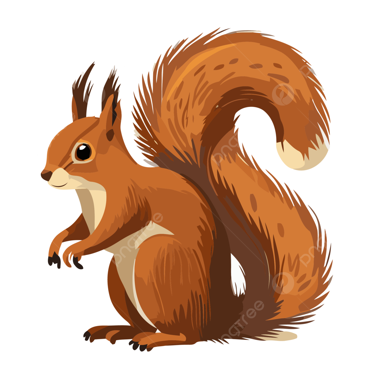 squirrel-banner